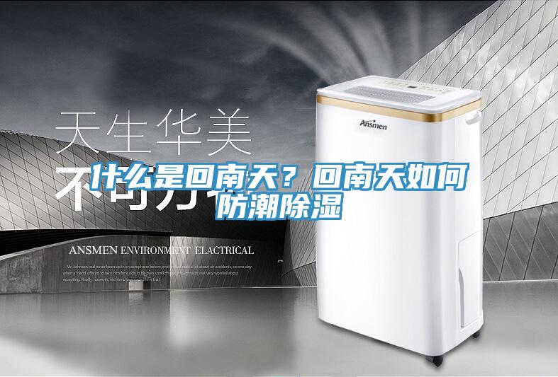 什么是回南天？回南天如何防潮除湿