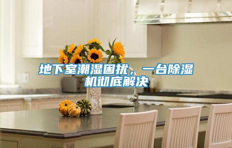 地下室潮湿困扰，一台猫咪成人官网彻底解决