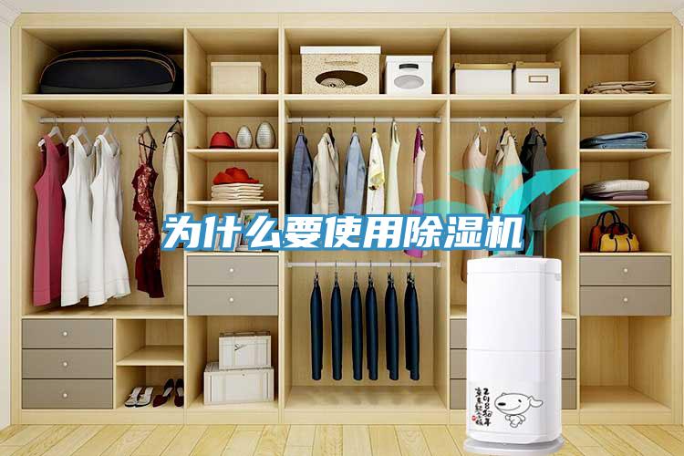 为什么要使用猫咪成人官网