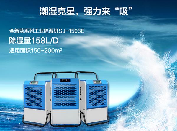 南方进入回南天，多肉植物这样养才不会有事！