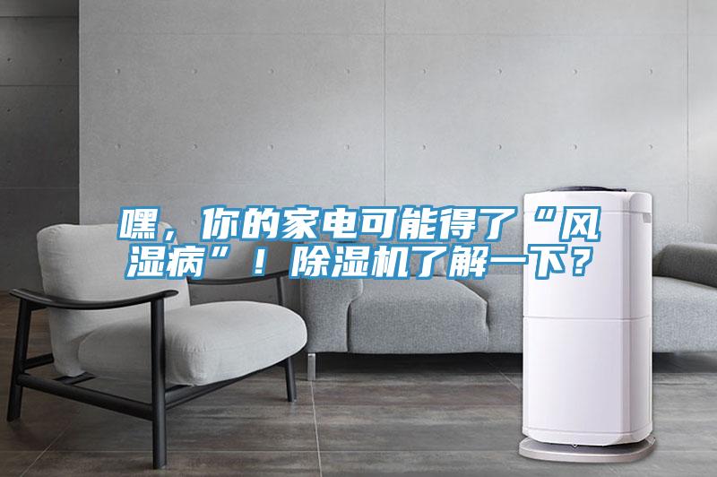 嘿，你的家电可能得了“风湿病”！猫咪成人官网了解一下？