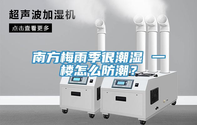 南方梅雨季很潮湿 一楼怎么防潮？