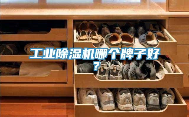 工业猫咪成人官网哪个牌子好？