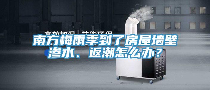 南方梅雨季到了房屋墙壁渗水、返潮怎么办？