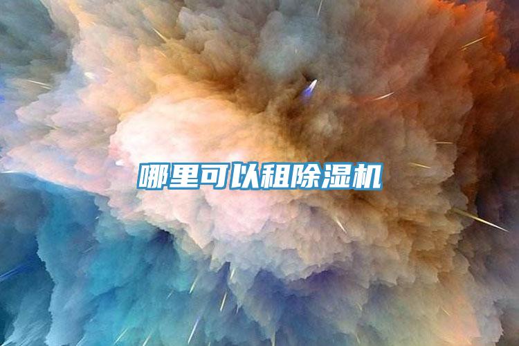 哪里可以租猫咪成人官网