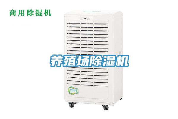 养殖场猫咪成人官网