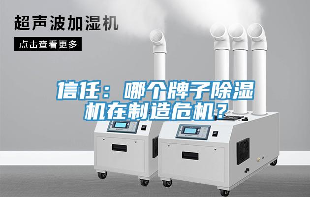 信任：哪个牌子猫咪成人官网在制造危机？