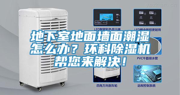 地下室地面墙面潮湿怎么办？环科猫咪成人官网帮您来解决！