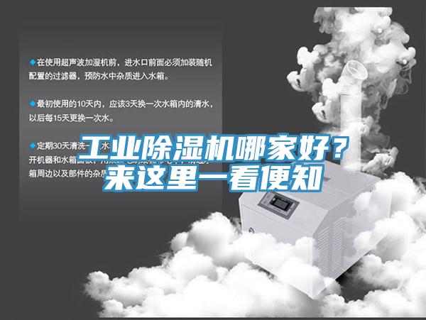 工业猫咪成人官网哪家好？来这里一看便知