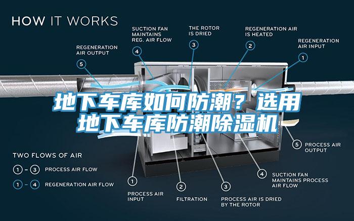 地下车库如何防潮？选用地下车库防潮猫咪成人官网