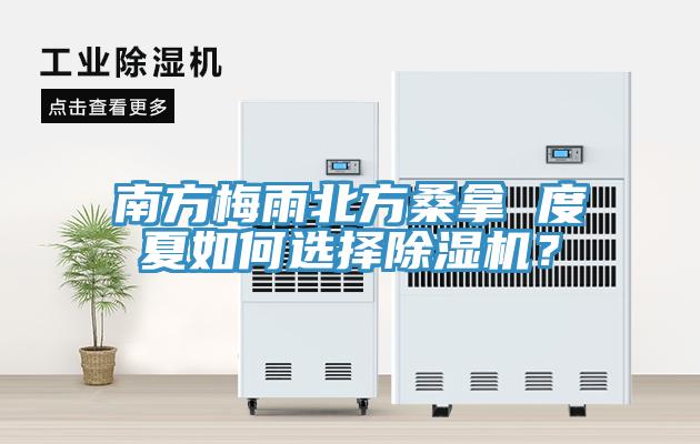 南方梅雨北方桑拿 度夏如何选择猫咪成人官网？