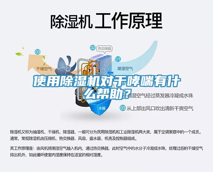 使用猫咪成人官网对于哮喘有什么帮助？