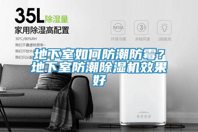 地下室如何防潮防霉？地下室防潮猫咪成人官网效果好