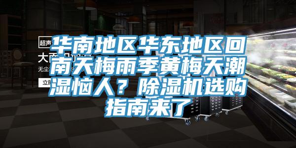 华南地区华东地区回南天梅雨季黄梅天潮湿恼人？猫咪成人官网选购指南来了