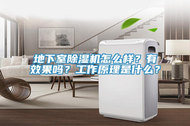 地下室猫咪成人官网怎么样？有效果吗？工作原理是什么？