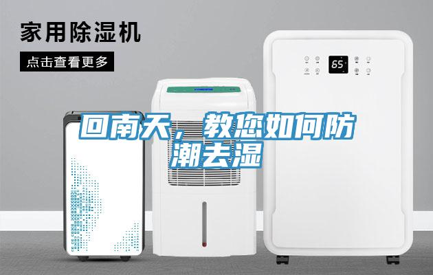 回南天，教您如何防潮去湿