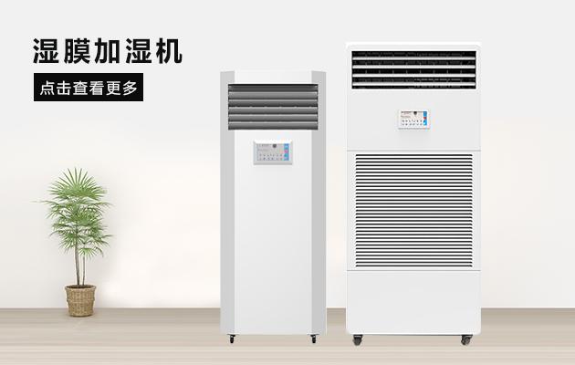 再说猫咪成人官网行业的转型升级