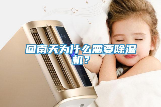 回南天为什么需要猫咪成人官网？