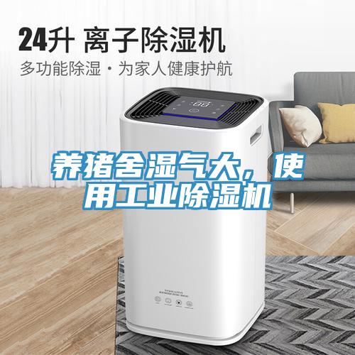 养猪舍湿气大，使用工业猫咪成人官网