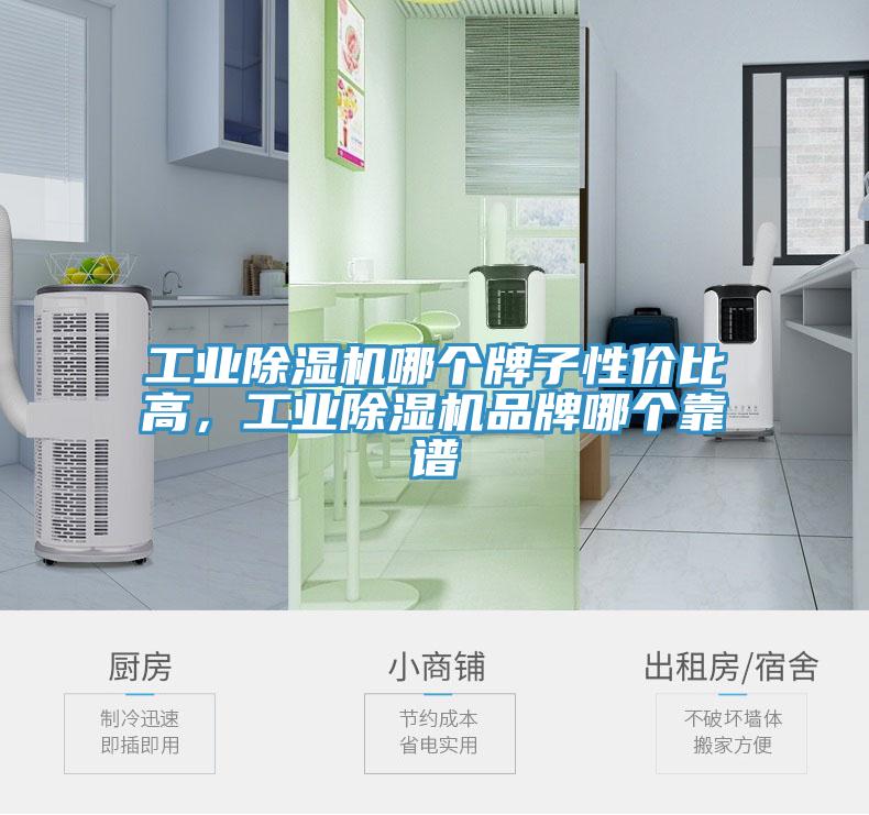 工业猫咪成人官网哪个牌子性价比高，工业猫咪成人官网品牌哪个靠谱
