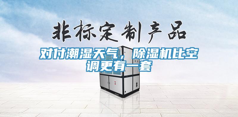 对付潮湿天气，猫咪成人官网比空调更有一套
