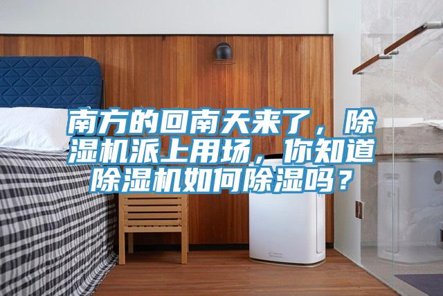 南方的回南天来了，猫咪成人官网派上用场，你知道猫咪成人官网如何除湿吗？