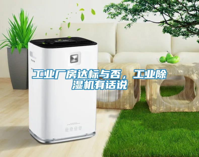 工业厂房达标与否，工业猫咪成人官网有话说