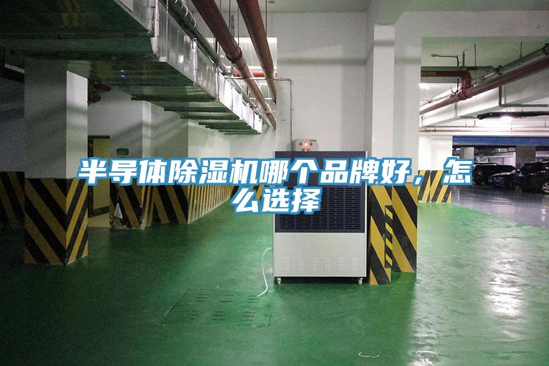 半导体猫咪成人官网哪个品牌好，怎么选择