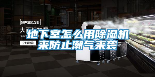 地下室怎么用猫咪成人官网来防止潮气来袭