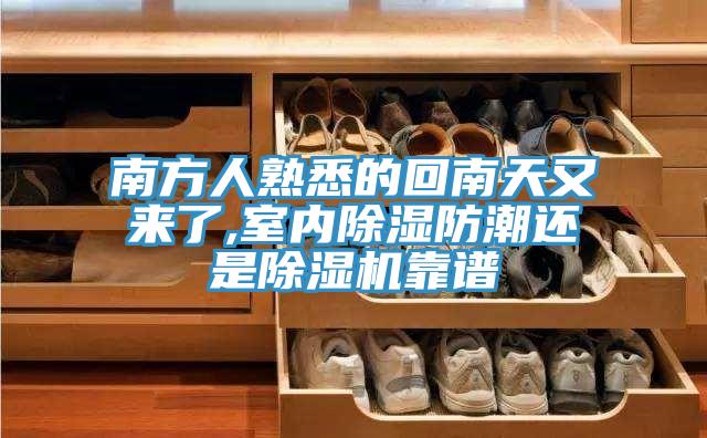 南方人熟悉的回南天又来了,室内除湿防潮还是猫咪成人官网靠谱