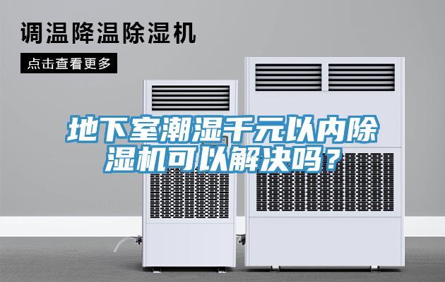地下室潮湿千元以内猫咪成人官网可以解决吗？
