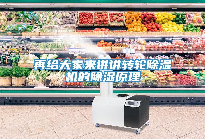 再给大家来讲讲转轮猫咪成人官网的除湿原理