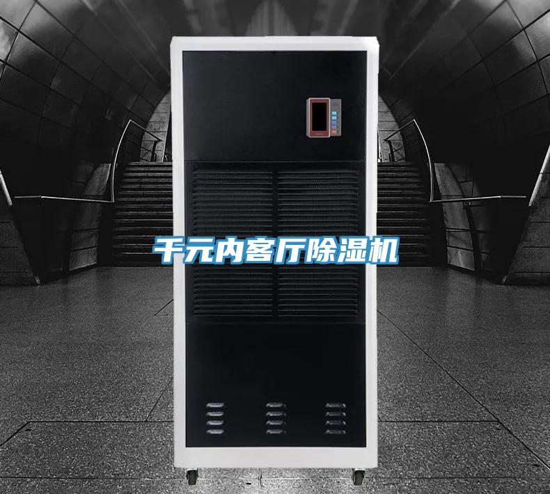 千元内客厅猫咪成人官网