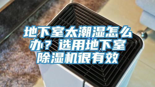 地下室太潮湿怎么办？选用地下室猫咪成人官网很有效