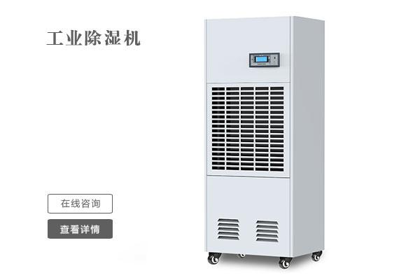 回南天到来，猫咪成人官网都准备好了吗？
