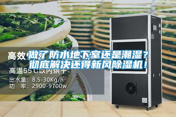 做了防水地下室还是潮湿？彻底解决还得新风猫咪成人官网！