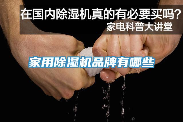 家用猫咪成人官网品牌有哪些