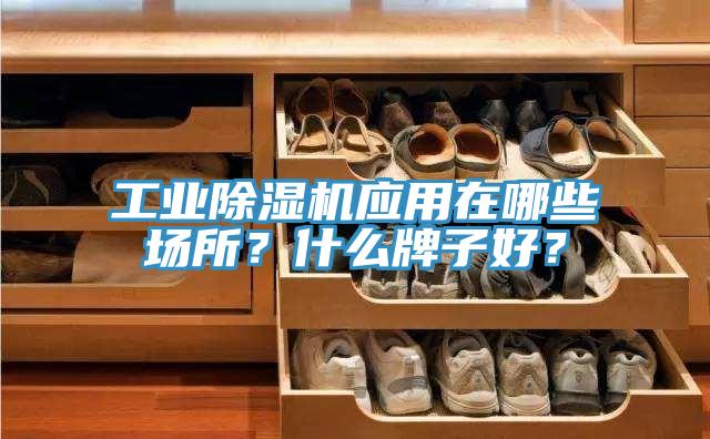 工业猫咪成人官网应用在哪些场所？什么牌子好？