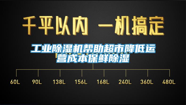 工业猫咪成人官网帮助超市降低运营成本保鲜除湿
