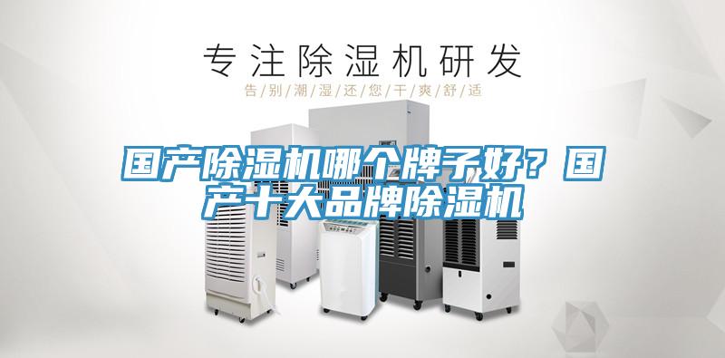 国产猫咪成人官网哪个牌子好？国产十大品牌猫咪成人官网