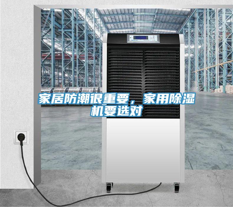 家居防潮很重要，家用猫咪成人官网要选对