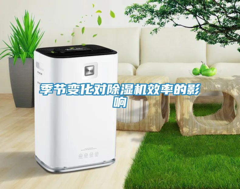 季节变化对猫咪成人官网效率的影响