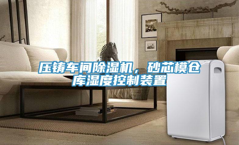 压铸车间猫咪成人官网，砂芯模仓库湿度控制装置