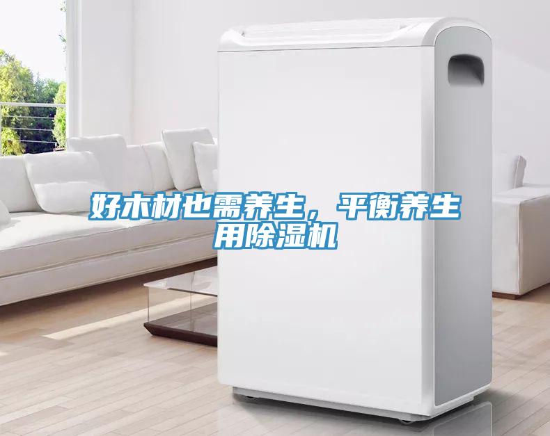 好木材也需养生，平衡养生用猫咪成人官网