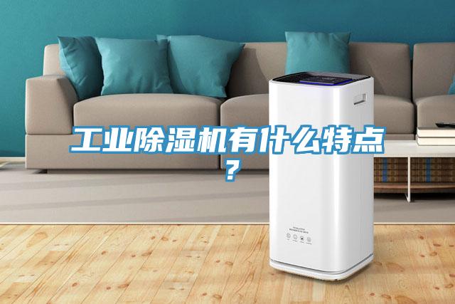 工业猫咪成人官网有什么特点？