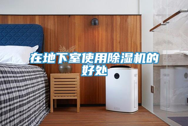 在地下室使用猫咪成人官网的好处