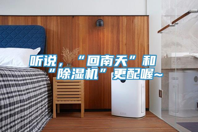 听说，“回南天”和“猫咪成人官网”更配喔~