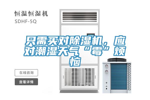 只需买对猫咪成人官网，应对潮湿天气“霉”烦恼
