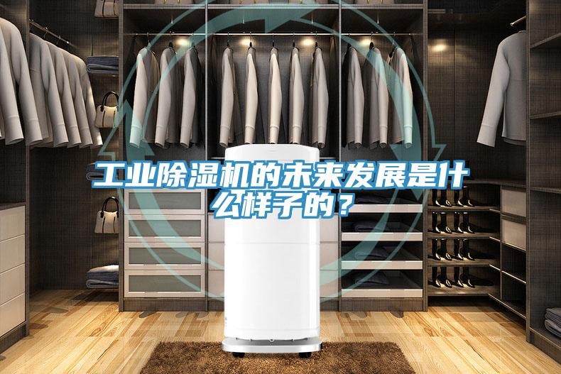 工业猫咪成人官网的未来发展是什么样子的？
