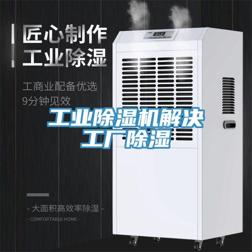 工业猫咪成人官网解决工厂除湿